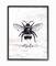 Stupell Industries Bee Mine Wall Art in Black Frame